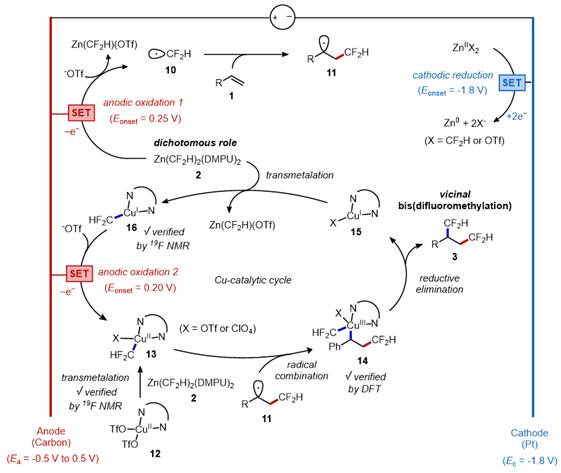 반응 기작에 대한 도식화