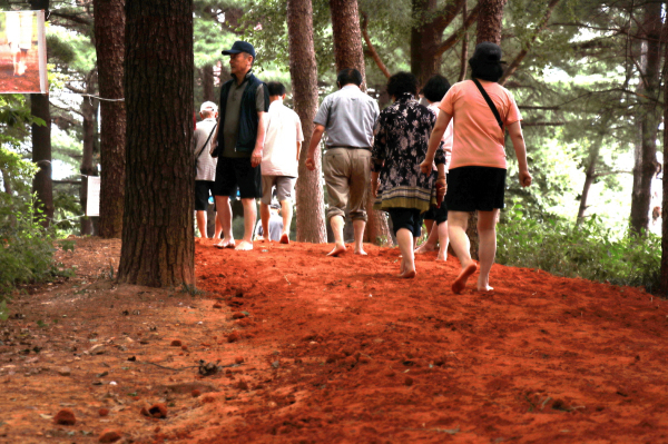대전 유성구 계룡스파텔 황톳길 모습