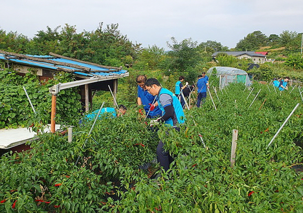 환경에너지사업소, 지역주민 일손 돕기 봉사 모습