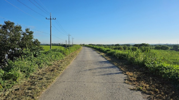 추석맞이 국가하천 예초 작업 모습