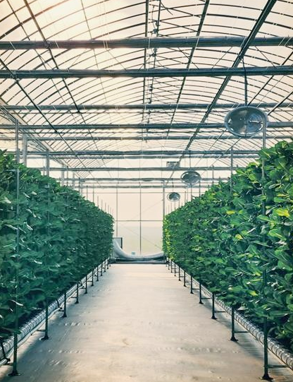 스마트팜 사관학교 내부 사진