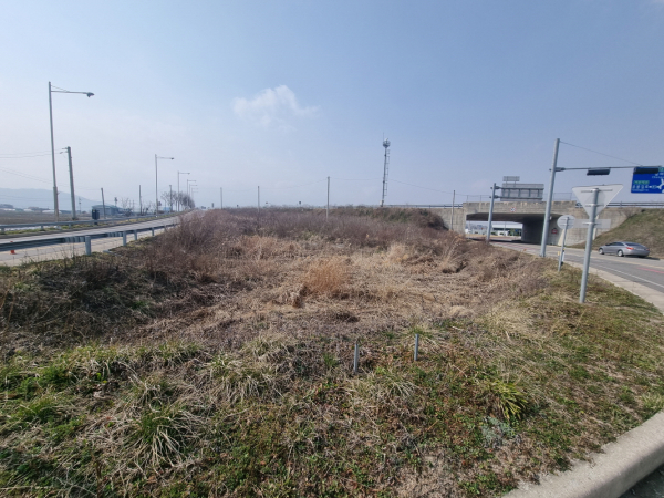 기후대응 도시숲 예정지(국도45호선변 삽교교차로)