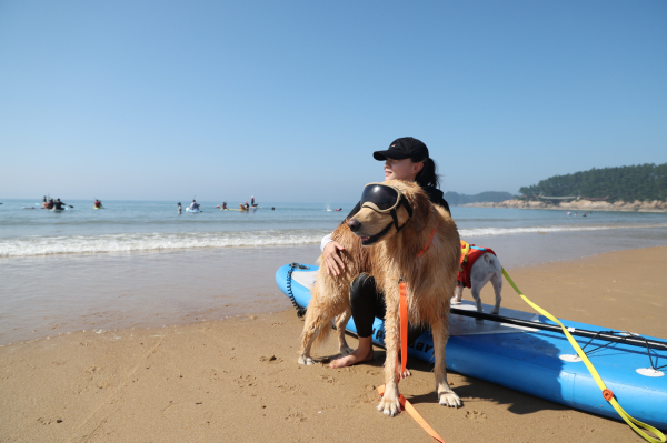 태안을 찾은 반려인과 반려견들 모습 (만리포 해수욕장)