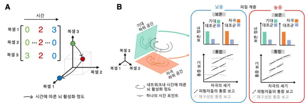 뇌의 활성화 정도를 표상하는 공간과 그 안에서 일어나는 통증 정보의 보존과 통합