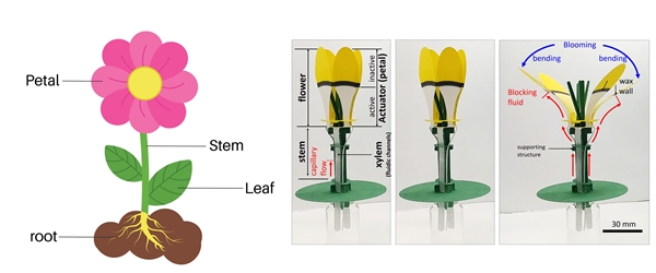 로봇 기본 개념도