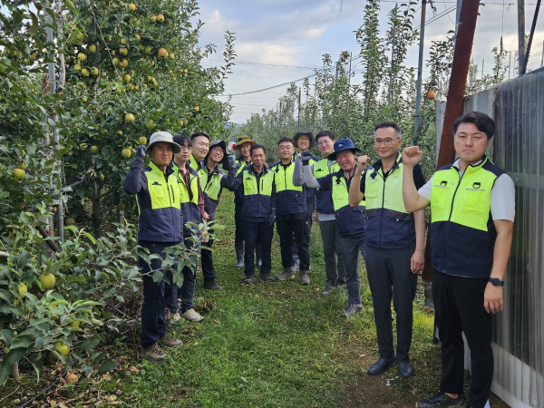 대전세종충남지역본부 지적재조사形 ESG 활동 /과수농가 일손돕기 적엽작업(사과 잎따기)  실시