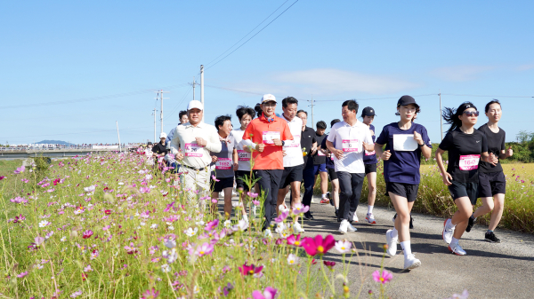 지난 29일 간월호 일원에서 진행된 ‘2024 서산 코스모스 황금들녘 마라톤대회’ 모습