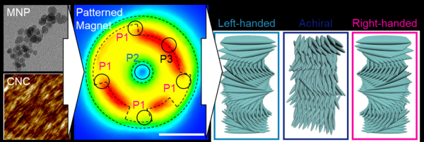 연구 모식도 [자성 나노입자를 셀룰로스 나노 결정 표면에 부착해 자기장 위에 건조하자 스스로 정렬해 오른쪽 방향으로 회전하는 모식도]