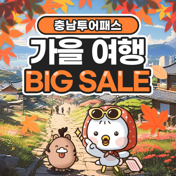 충남투어패스 할인 포스터