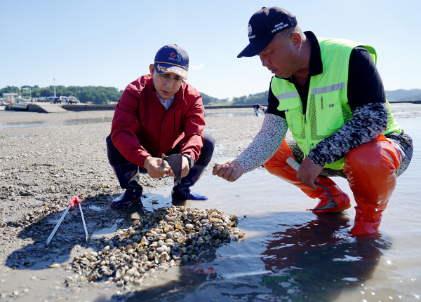 이완섭 서산시장이 4일 중왕리 일원의 어촌계를 찾아 바지락 집단 폐사 현황을 점검 모습.