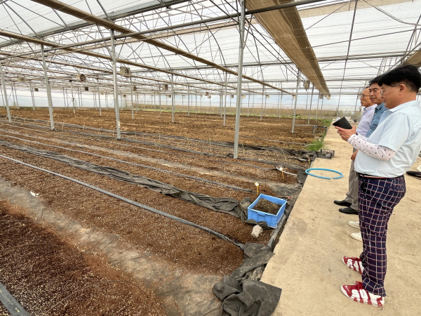 씨감자 대량생산 특화단지