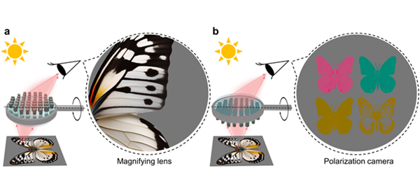 빛이 입사되는 방향에 따라 독립적인 두 가지 기능을 하는 메타표면