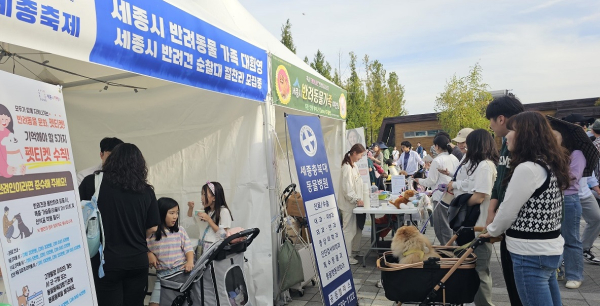 2024 세종축제 반려동물 지원 부스 운영 모습