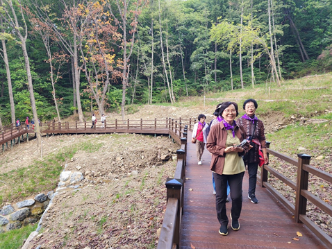 영주YMCA성인문해학교 ‘나눔의 숲 캠프’ 운영 모습