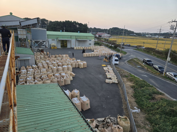 서천군농협쌀조합공동사업법인 수매현장 모습