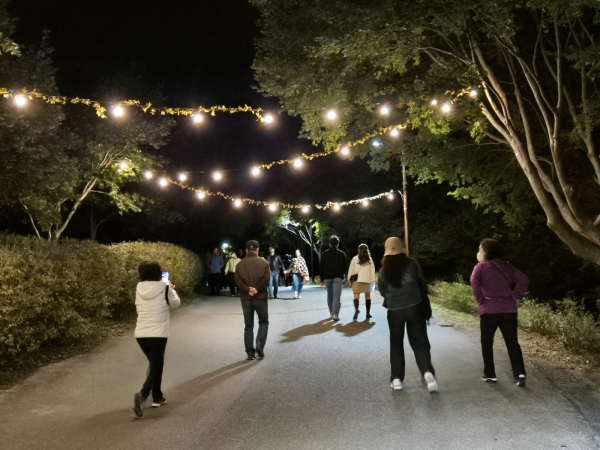 지난 20일 관광객들이 야간경관 투어버스를 이용하고 있다.