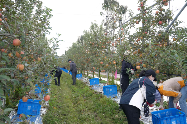 노사 한마음 농촌일손돕기