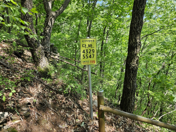 등산로에 설치된 국가지점번호판