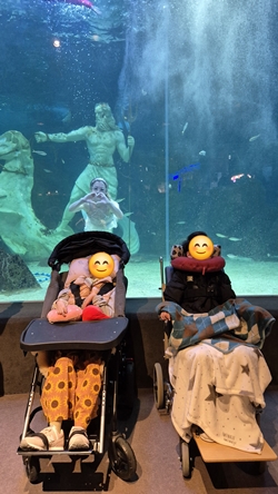 대전동부교육지원청 특수교육지원센터 순회교육대상학생 2학기 현장체험학습