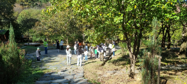 자녀와 함께 그린(GREN) 지구 숲체험 직무연수 운영 모습