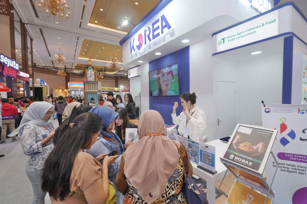 인니 FLEI 프랜차이즈 박람회 한국관 현장 상담