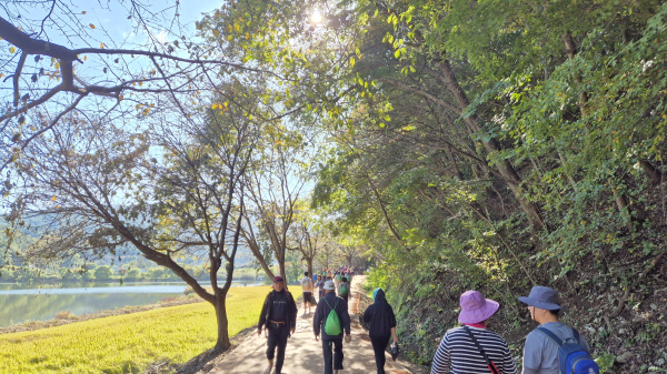 제1회 궁평저수지 맨발 황톳길 걷기 축제 모습