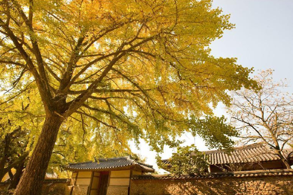 청라은행마을 전경