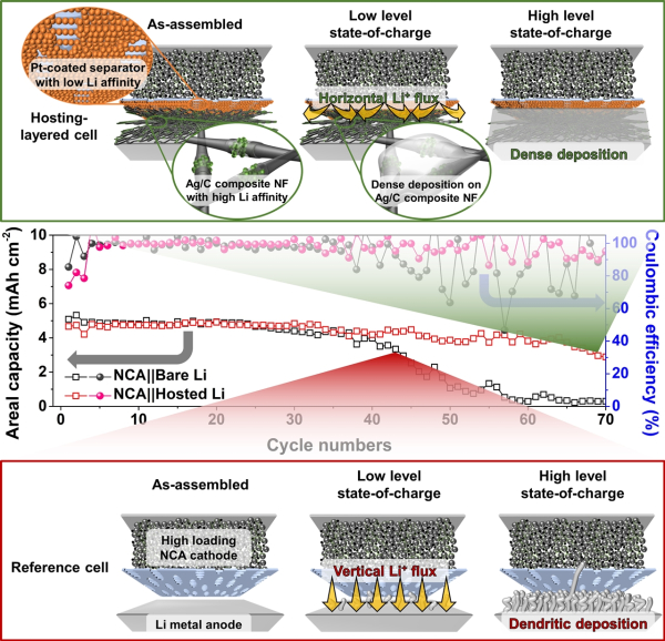 연구 모식도[수직적 리튬 전착으로 짧은 수명의 대조군 (아래쪽)과 연구팀 개발한 호스트를 적용해 78% 수명이 향상된 리튬금속전지(위쪽)] 모습