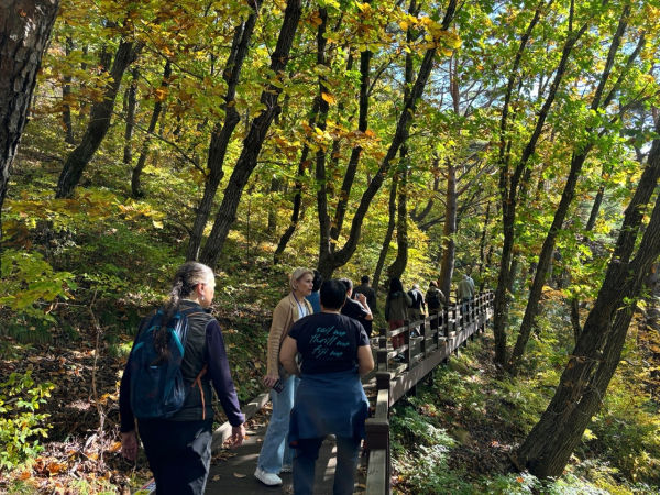 '2024 세계산림치유포럼 필드트립' 참가자들 대상 프로그램 진행 모습