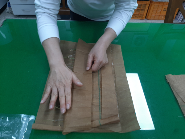 발아율 검사 모습