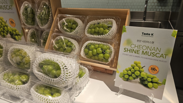 싱가포르 culina 마켓 홍보 모습