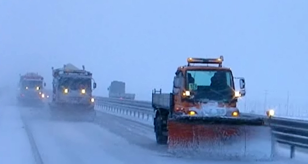 지난해 실제 작업사진