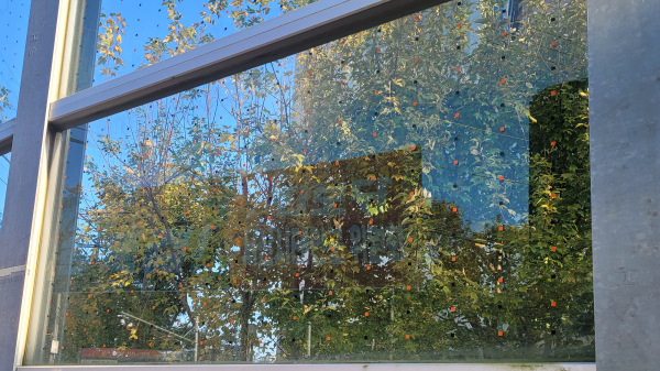 패턴스티커 부착이 완료된 양우내안애 퍼스트힐 아파트 투명방음벽