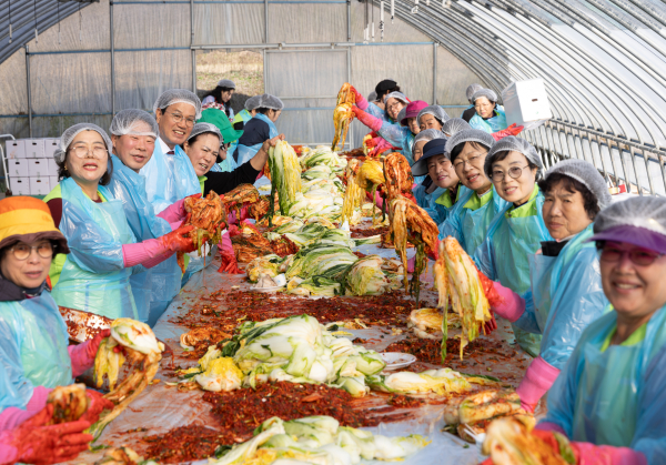 2024년 농협 청양군지부, 농가주부 모임과 함께 '사랑의 김장나눔' 행사 개최