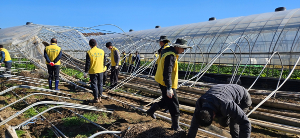 비닐하우스 수해 복구 작업 지원 봉사활동 기념사진