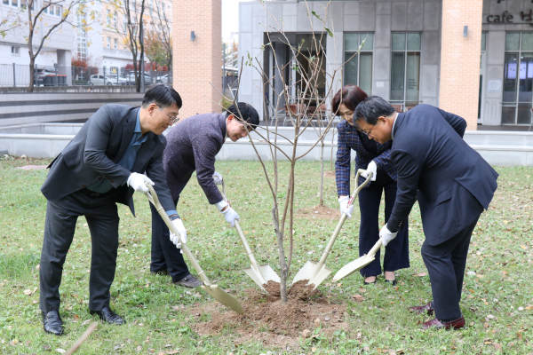 지역복지 발전 기원 감나무 식재