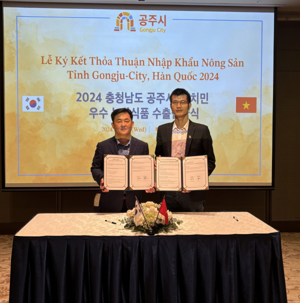 공주시 시장개척단, 베트남 시장 진출