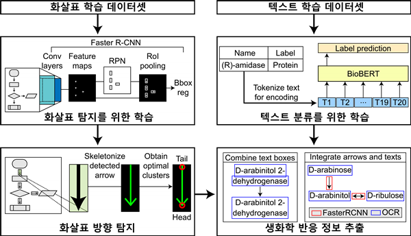 바이오 경로 이미지에서 생화학 반응 정보를 추출하는 EBPI의 모식도