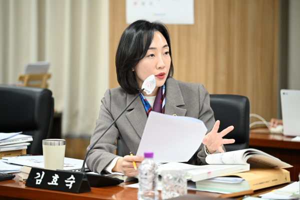 세종특별자치시의회 김효숙 의원(나성동, 더불어민주당)<br>
