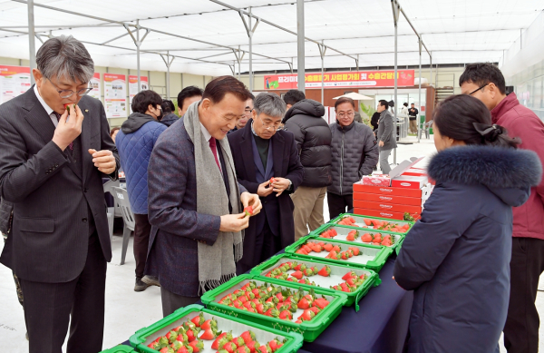 홍성 딸기 수출간담회 현장사진