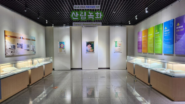 전시 (산림녹화)