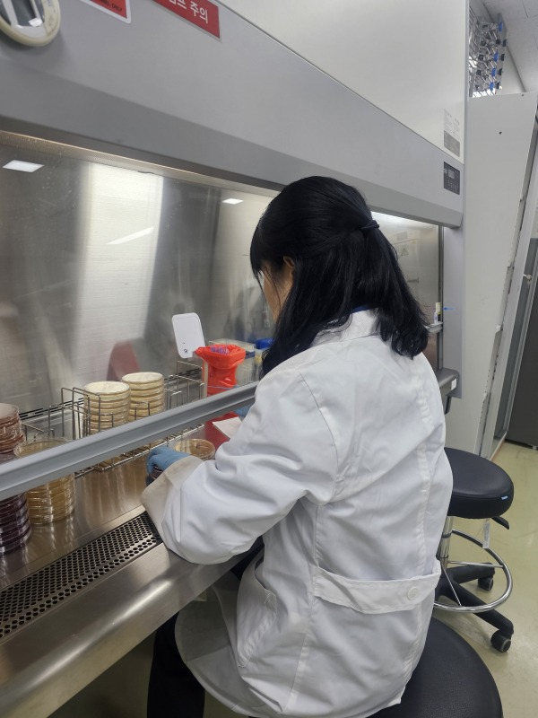 사본 -항생제_내성균_보도자료_사진(보