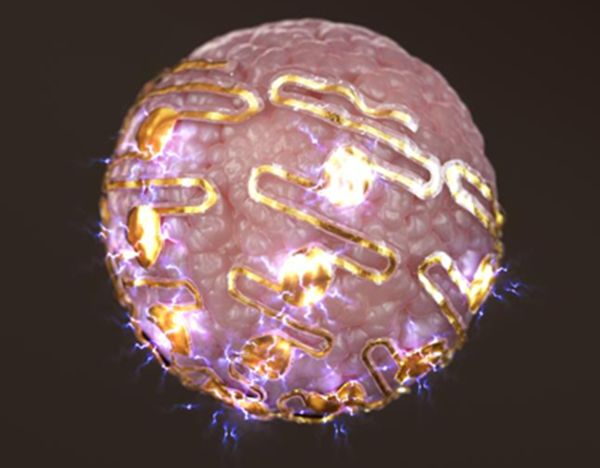 고신축성 돌출형 미세전극 어레이의 개념도