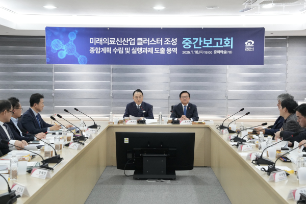 ‘미래의료 신산업 클러스터 조성 종합계획 수립 및 실행과제 도출 용역 중간보고회’ 개최 모습