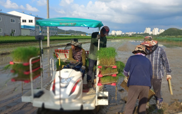 기본형 공익직불금 자료