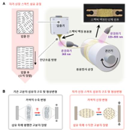 자가 신장 스마트 섬유의 제작과정 및 형상변형