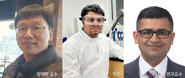 충남대 양재환 교수 연구팀