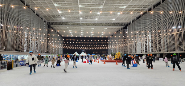 ‘꿈돌이 야외스케이트장’ 운영 모습