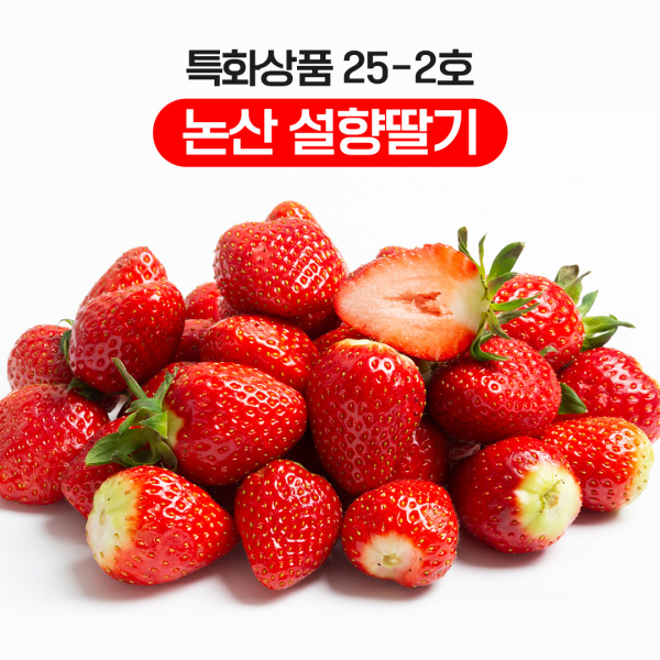 농수산물 온라인도매시장 25-2호 특화상품 ‘논산 딸기’