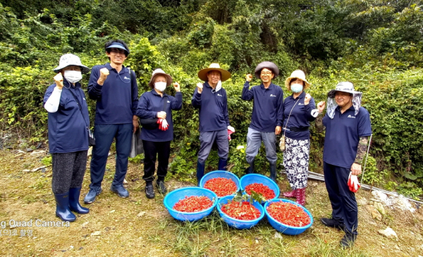 농촌체험 프로그램 진행 모습